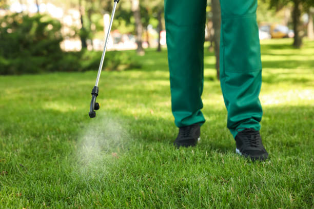 Wildlife Control Services in Palmyra, NJ