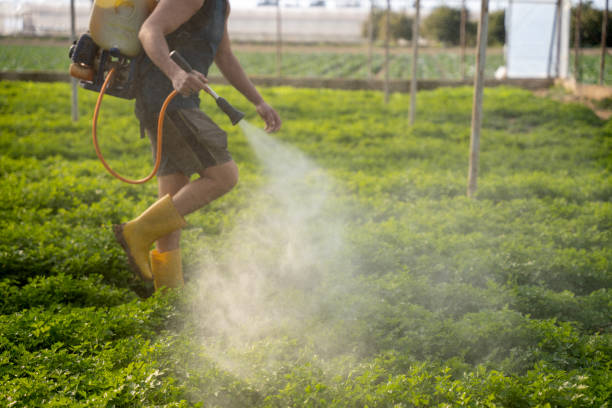 Best Affordable Pest Control Services  in Palmyra, NJ