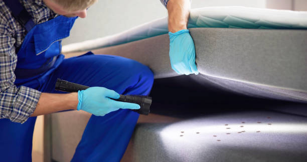 Best Mosquito Control Services  in Palmyra, NJ