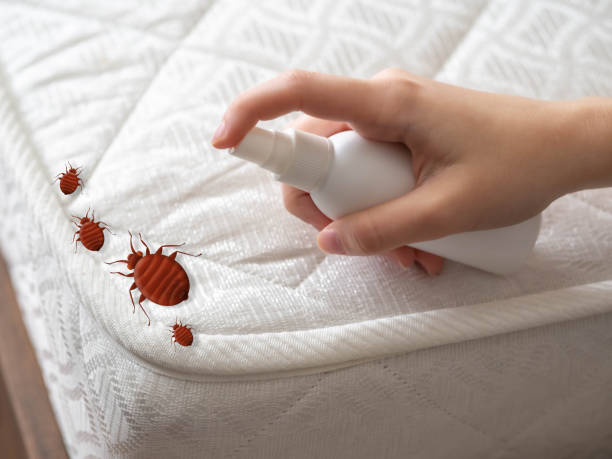 Best Pest Removal Services  in Palmyra, NJ