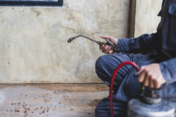 Best Exterminator Services  in Palmyra, NJ